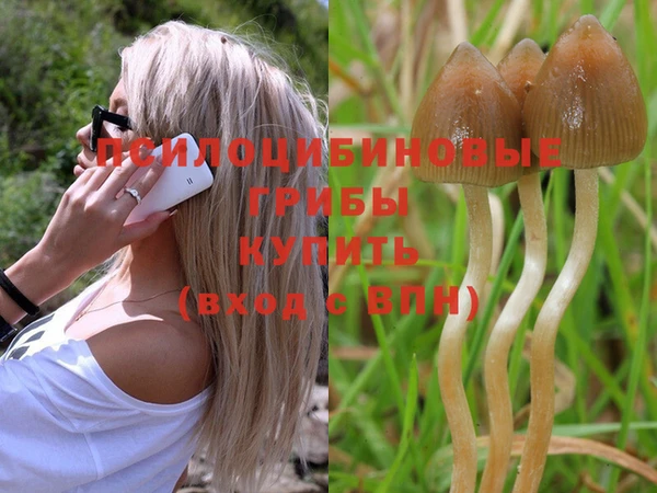 МДПВ Абинск