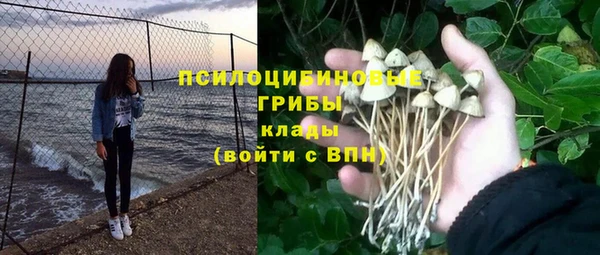 МДПВ Абинск