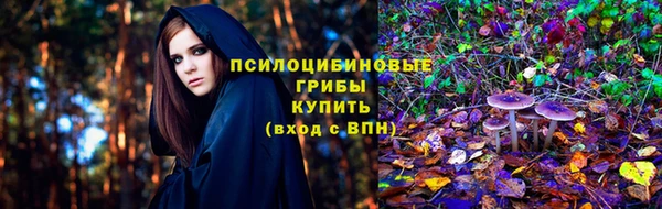 СК Абаза