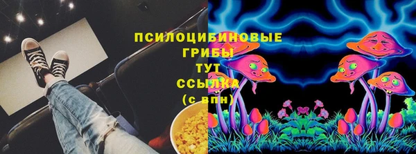 МДПВ Абинск