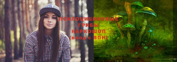 МДПВ Абинск
