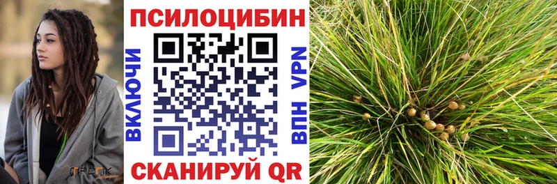 магазин    Мосальск  Галлюциногенные грибы GOLDEN TEACHER 